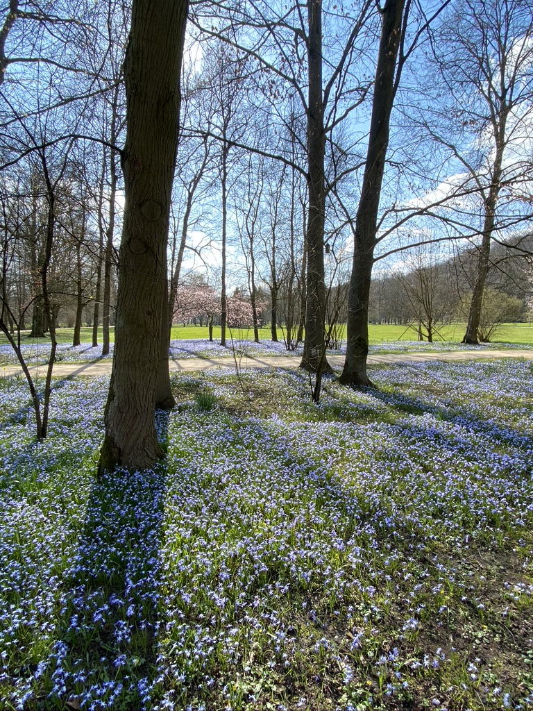 Im Kurpark Bad Kissingen