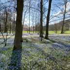 Im Kurpark Bad Kissingen