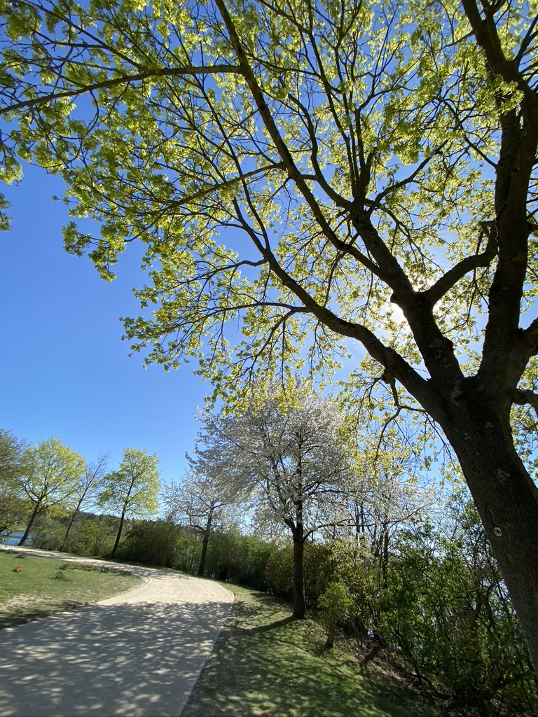 Am Schweinfurter Baggersee