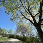 Am Schweinfurter Baggersee