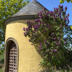 An der Vogelsburg 2