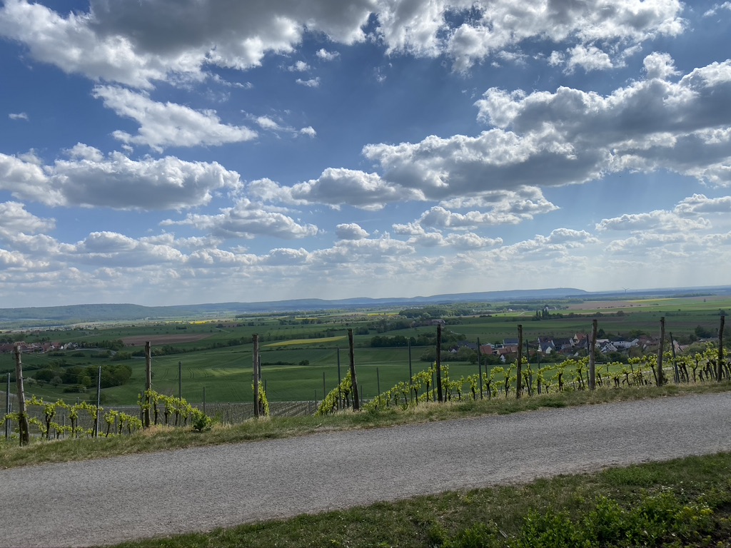 Aussicht Wiebelsberg