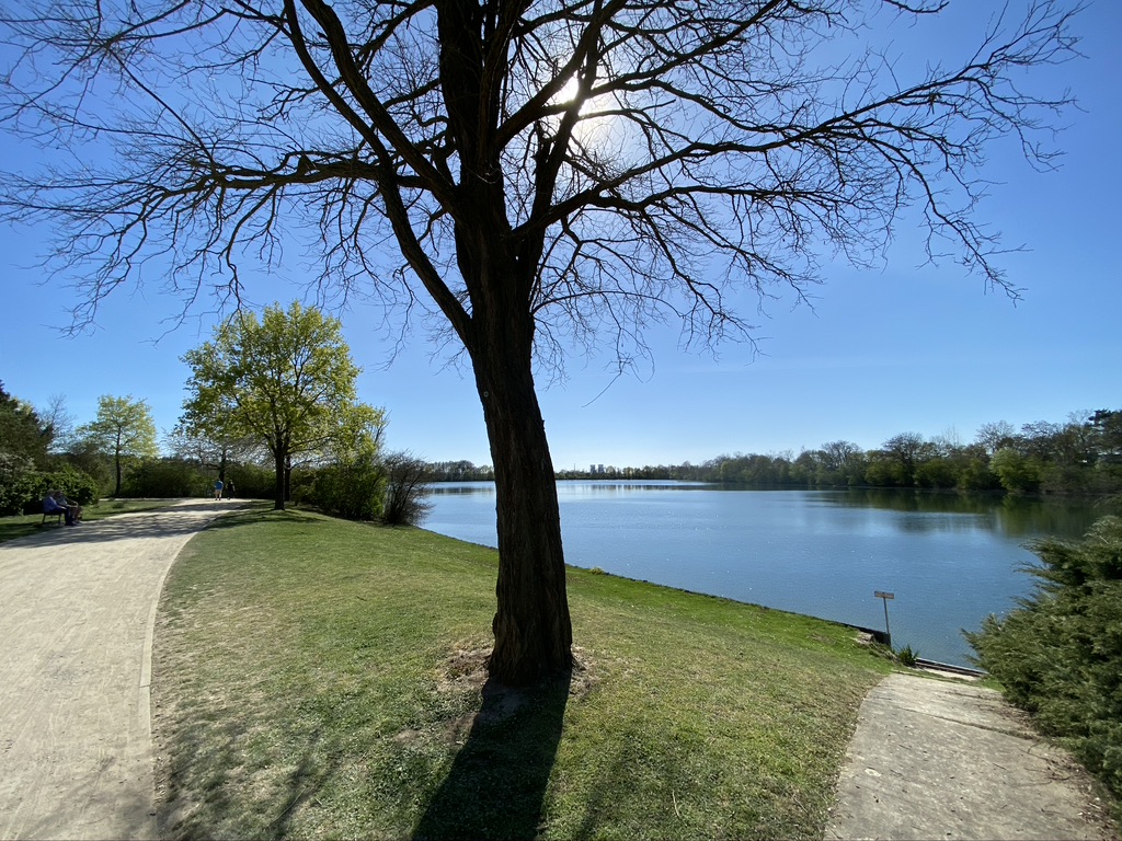 Am Schweinfurter Baggersee 2