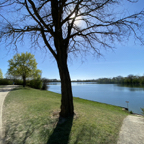 Am Schweinfurter Baggersee 2