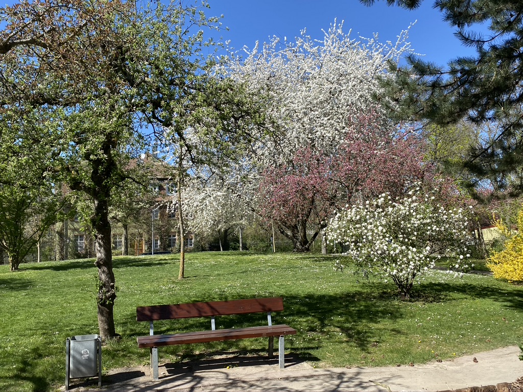 Wehranlagen Schweinfurt 2